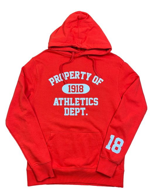 DEPT HOODIE ORANGE